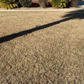 Bush Trimming by Lawrence Landscaping reviewed on July 24, 2022