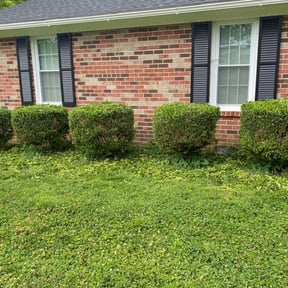 Bush Trimming by Household Maintenance &amp; Lawn Care Services reviewed on December 14, 2024