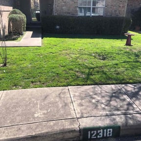 Bush Trimming by Jackson Lawn Care reviewed on March 4, 2025