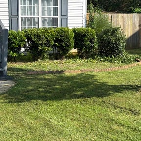 Bush Trimming by Bonsai Landscaping &amp; Designs reviewed on July 22, 2022