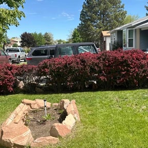 Flower Bed Weeding by Efrain Marrero reviewed on July 5, 2022