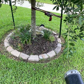 Flower Bed Weeding by Green Garden The Woodlands reviewed on September 2, 2021