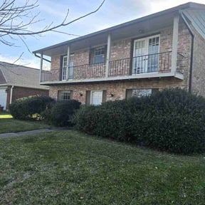 Bush Trimming by Paz Lawn Services reviewed on April 18, 2025