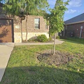 Bush Trimming by The Green Op reviewed on July 15, 2025