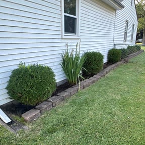 Flower Bed Weeding by Michael McDaniel reviewed on August 1, 2022