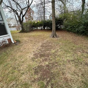 Leaf Removal by Artavius  Clark reviewed on July 18, 2025