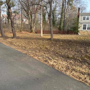 Leaf Removal by Residential maintenance reviewed on March 21, 2022
