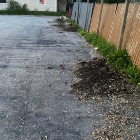 Cleanups by Pro grow landscapeing reviewed on October 4, 2022