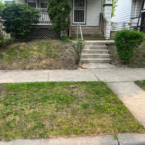 Cleanups by Clarks lawn care reviewed on July 28, 2022