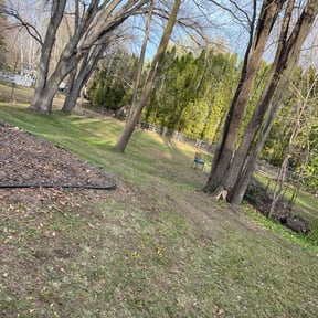 Leaf Removal by Vanessa's lawncare services reviewed on April 26, 2022