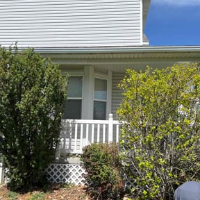 Bush Trimming by Ralph & sons property maintenance reviewed on September 28, 2021