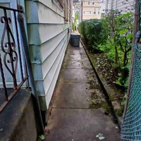 Leaf Removal by Active Property Care reviewed on June 27, 2022
