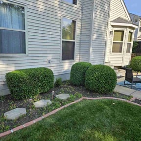 Bush Trimming by lamys lawncare reviewed on May 14, 2022