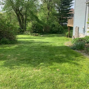 Leaf Removal by Lana kindsfather reviewed on June 26, 2022