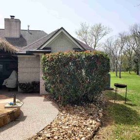 Bush Trimming by All Scapes Property Maintenance reviewed on March 25, 2025