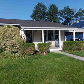 Bush Trimming by Lawn services JAV reviewed on June 2, 2025