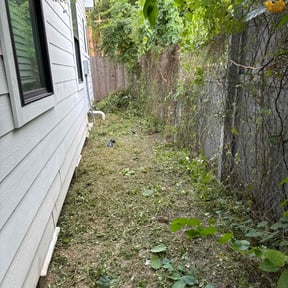 Bush Trimming by Perry Family Maintenance LLC reviewed on June 23, 2025