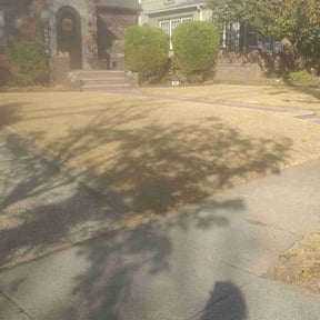 Leaf Removal by A&j lawn care service reviewed on May 24, 2022