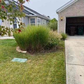 Bush Trimming by Father Daughter and Sons Lawn Care reviewed on September 14, 2021