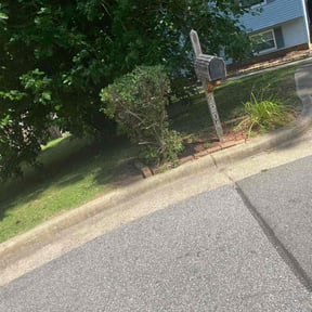 Bush Trimming by Electric Cut Lawn Care LLC reviewed on January 10, 2025