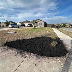 Landscaping by Farsight services reviewed on July 15, 2022