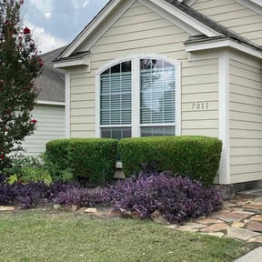 Bush Trimming by Cuttas Landscaping & Lawn Services reviewed on June 16, 2022