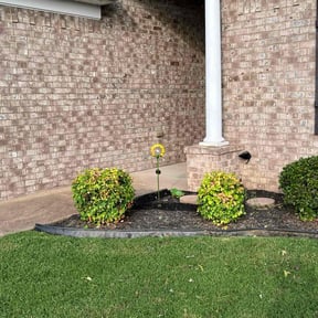 Bush Trimming by Tee's OCD reviewed on May 18, 2025
