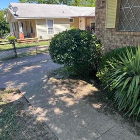 Bush Trimming by 4K Lawncare reviewed on October 28, 2024