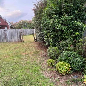 Bush Trimming by Scorpion lawn Maintenance reviewed on July 25, 2020
