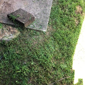 Cleanups by Mike's Mowing and Landscaping reviewed on January 12, 2022