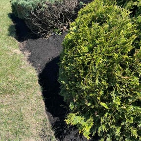 Mulching by GRASS MASTERS LAWN SERVICE reviewed on April 22, 2022