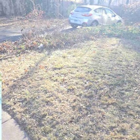 Weeding by Redline Property Maintenance (RPM) reviewed on June 15, 2022