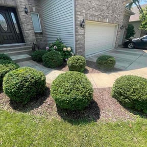 Bush Trimming by D&Ds Landscaping reviewed on July 30, 2022