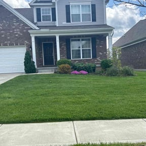 Bush Trimming by Chuyin's Lawn Care LLC reviewed on July 14, 2022