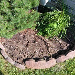 Flower Bed Weeding by Stephens Lawn Care reviewed on August 8, 2022