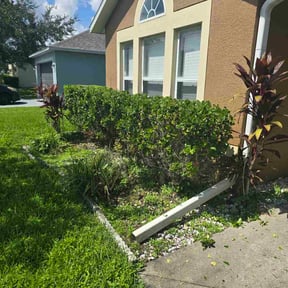 Bush Trimming by Dobie's New Creation Lawn Care reviewed on August 6, 2022