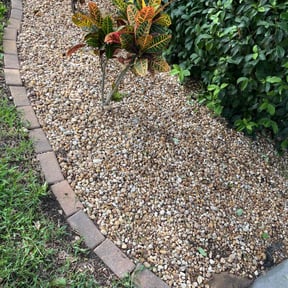 Flower Bed Weeding by Clean cut maintence reviewed on July 15, 2022