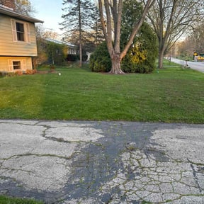Leaf Removal by Ultimate Landscape Contractor reviewed on June 20, 2022