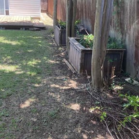 Bush Trimming by Aaa Lawn and Landscape reviewed on May 2, 2022