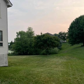 Bush Trimming by Cutting Edge Improvements reviewed on July 7, 2022