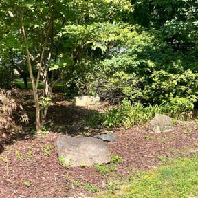 Flower Bed Weeding by Top Turf L.L.C reviewed on June 25, 2022
