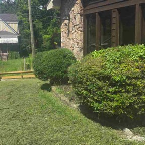 Cleanups by lawn care reviewed on October 30, 2023
