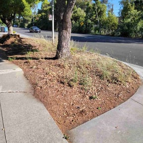 Leaf Removal by s&t landscaping reviewed on May 11, 2022