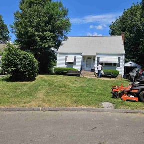 Bush Trimming by BnD mowing reviewed on June 22, 2022