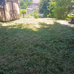 Leaf Removal by Stephen Reynolds reviewed on August 2, 2022