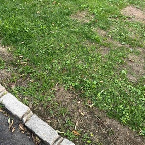 Bush Trimming by Full Circle Lawn & Landscape reviewed on July 19, 2022