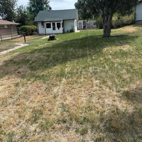 Weeding by Nicks Lawn Care reviewed on December 9, 2024