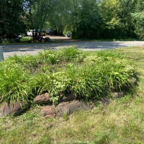 Flower Bed Weeding by Cardenas Lawn Care and Handyman Service. reviewed on December 27, 2021