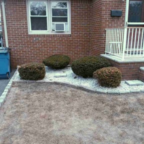 Bush Trimming by Aguilar landscaping reviewed on July 18, 2022