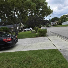 Bush Trimming by Lawns by Linebaugh reviewed on November 5, 2021